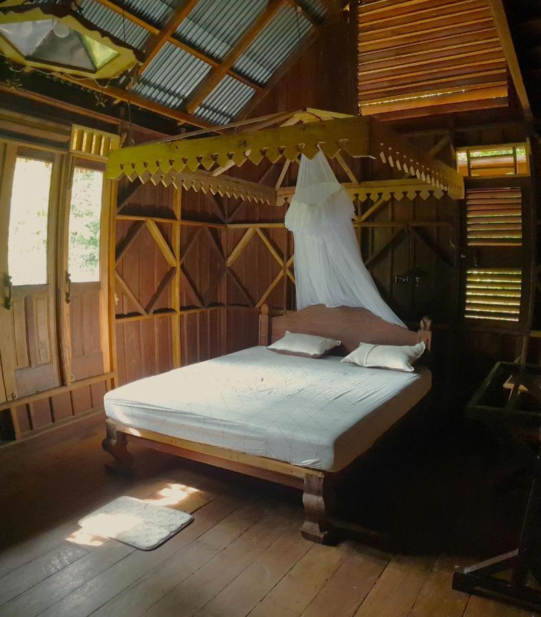 Happy Ria Homestay & Guesthouse Bukit Lawang Exterior photo
