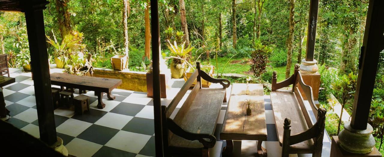 Happy Ria Homestay & Guesthouse Bukit Lawang Exterior photo