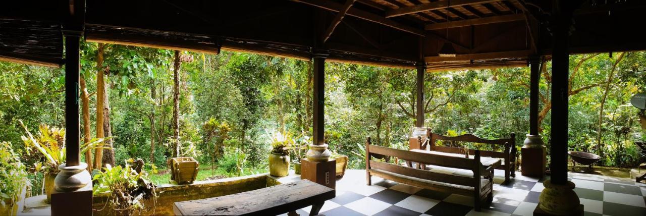 Happy Ria Homestay & Guesthouse Bukit Lawang Exterior photo