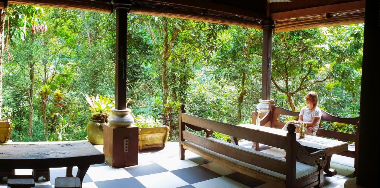 Happy Ria Homestay & Guesthouse Bukit Lawang Exterior photo
