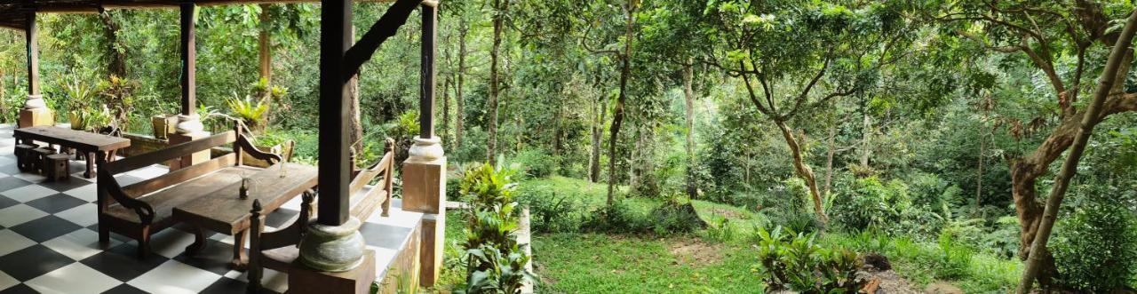Happy Ria Homestay & Guesthouse Bukit Lawang Exterior photo