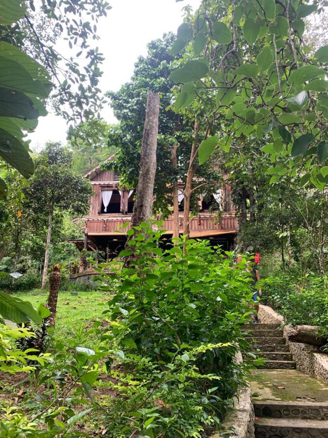 Happy Ria Homestay & Guesthouse Bukit Lawang Exterior photo